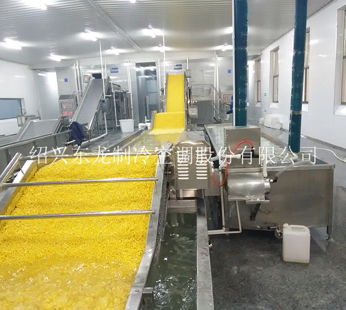 山東玉米粒速凍生產線