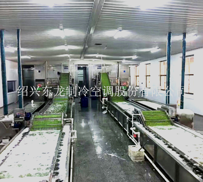安徽蔬菜速凍生產線
