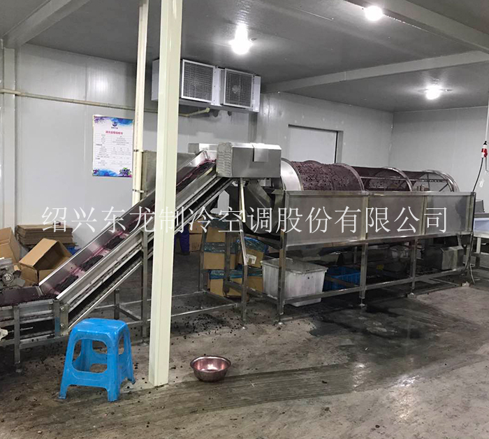 杭州藍莓速凍生產線